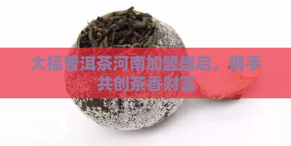 河南今大福普洱茶加盟