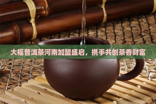 河南今大福普洱茶加盟