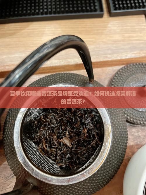 适合夏天的普洱茶品牌有哪些