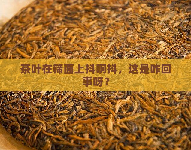 抖筛是茶叶在筛面做往复抖动