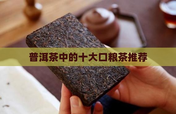 普洱茶中的10大口粮茶
