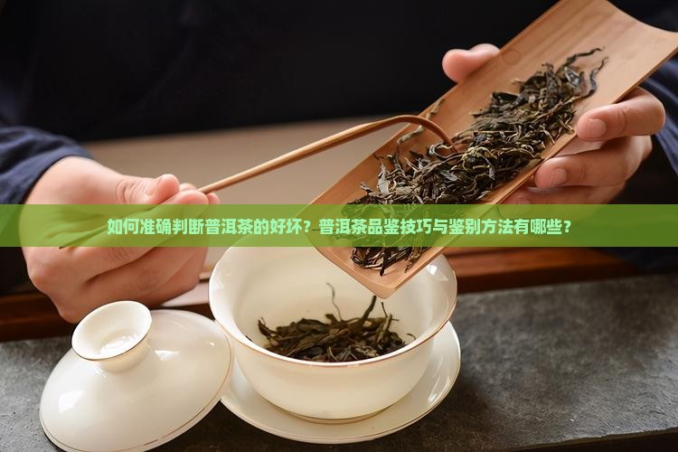 普洱茶能不能喝出好坏