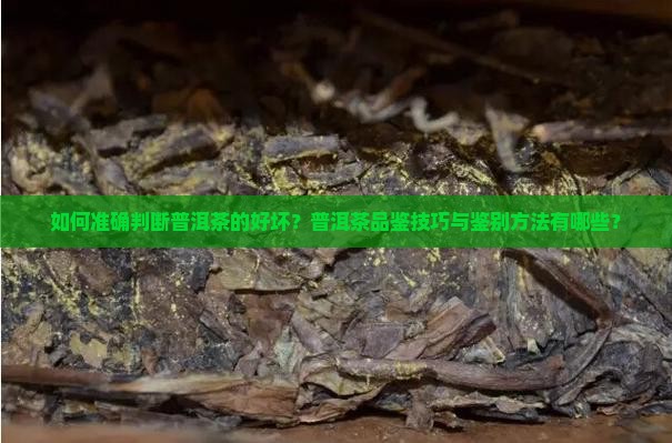 普洱茶能不能喝出好坏