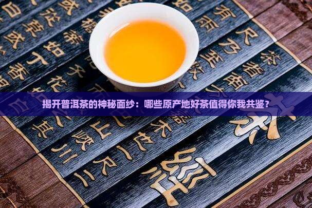 普洱茶原产地好茶分享