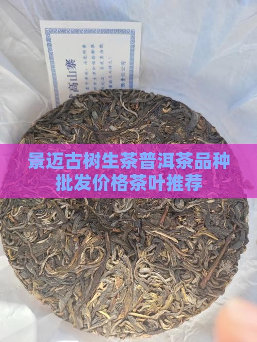 景迈古树茶生茶
