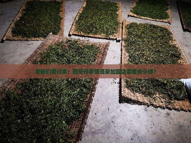 西安普洱茶加盟