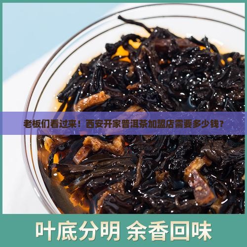 西安普洱茶加盟