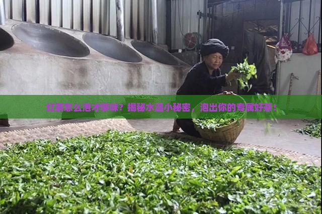 泡红茶对水温要求