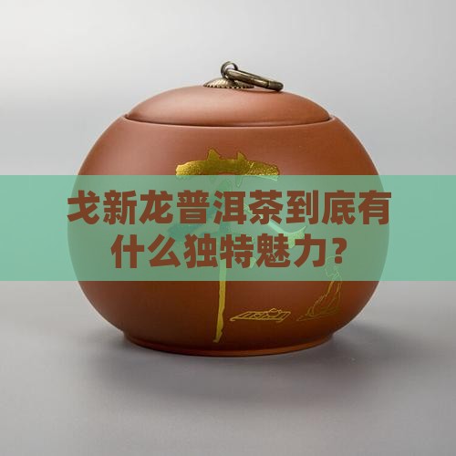 戈新龙普洱茶的特点