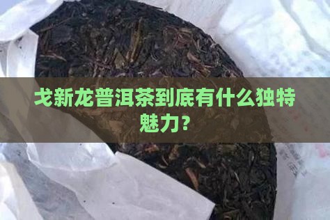 戈新龙普洱茶的特点