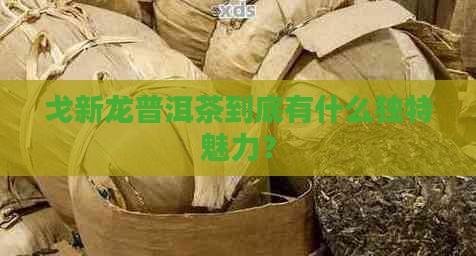 戈新龙普洱茶的特点