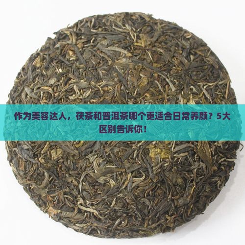 茯茶和普洱茶哪个养颜
