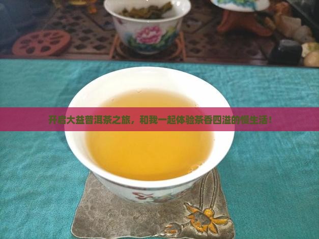 加盟大益普洱茶体验馆