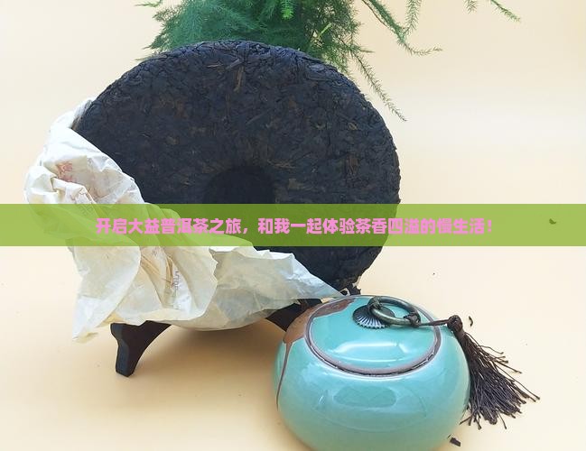 加盟大益普洱茶体验馆