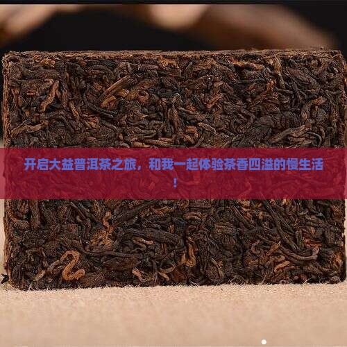 加盟大益普洱茶体验馆