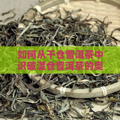 如何识破湿仓普洱茶