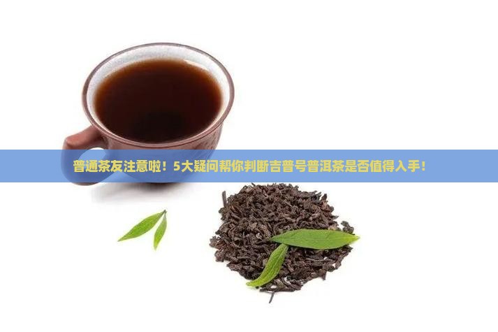 吉普号普洱茶可以买吗