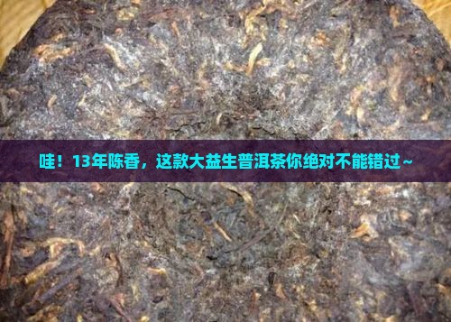 13年大益生普洱茶