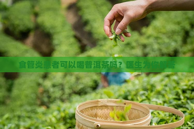 食管炎不能喝普洱茶吗