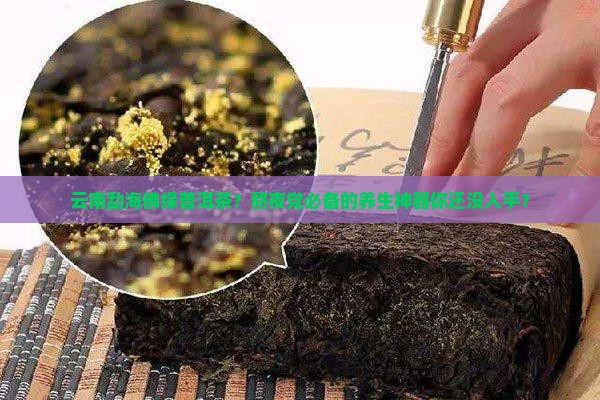 云南勐海佛缘普洱茶