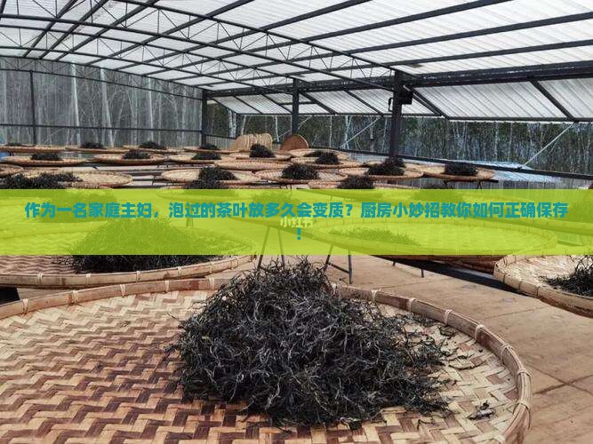 茶叶泡过水会不会变质