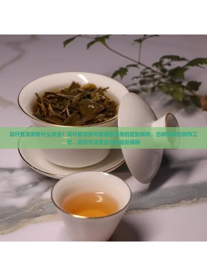 高杆普洱茶有什么特点