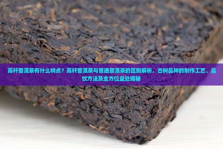 高杆普洱茶有什么特点