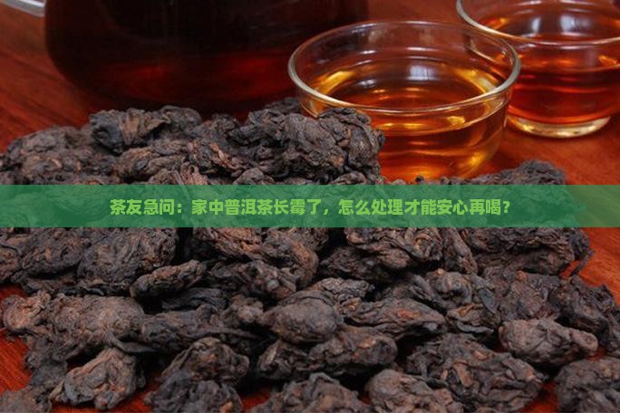 发霉的普洱茶还能喝