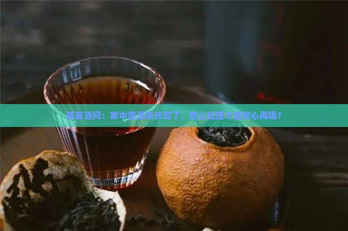 发霉的普洱茶还能喝