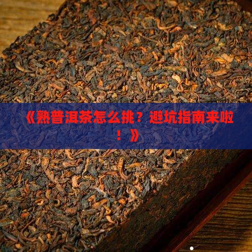 挑选熟普洱茶的注意事项