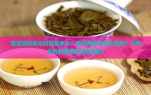普洱茶的陈化时间