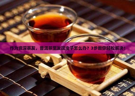 普洱茶长虫子了怎么办