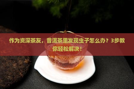 普洱茶长虫子了怎么办