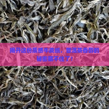 普洱茶包装盒牛皮纸