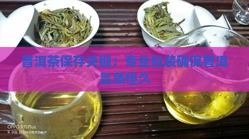普洱茶需要包装存放 普洱茶需要包装存放