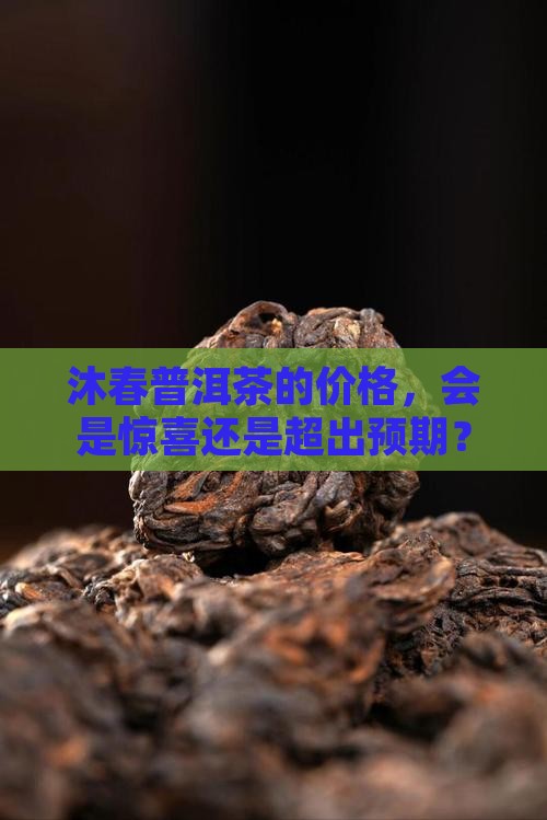 沐春普洱茶价格