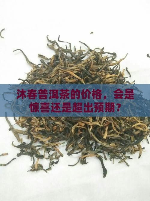 沐春普洱茶价格