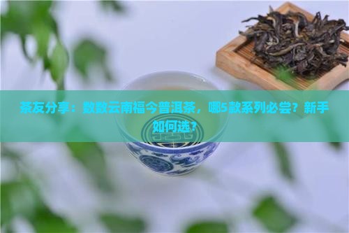 云南福今普洱茶各系列产品