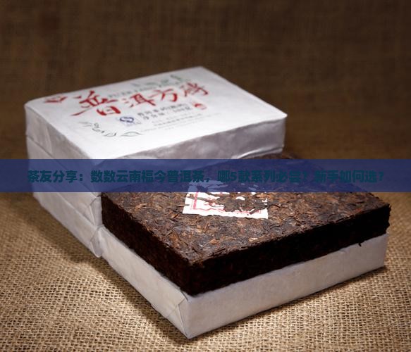 云南福今普洱茶各系列产品