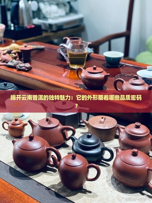 云南普洱茶外形的品质特点