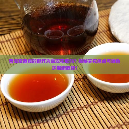 普洱茶渣可以当花肥用吗