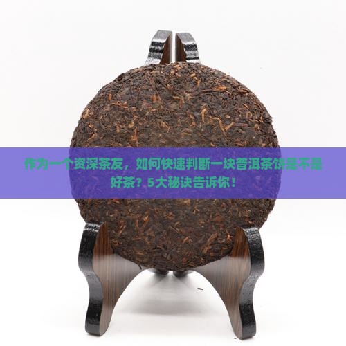 鉴别熟普洱茶饼的好坏