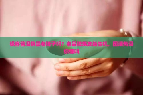极客普洱茶是老牌子吗