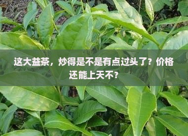 大益茶抄得太高了