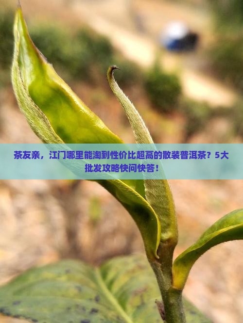 江门市普洱茶散装批发