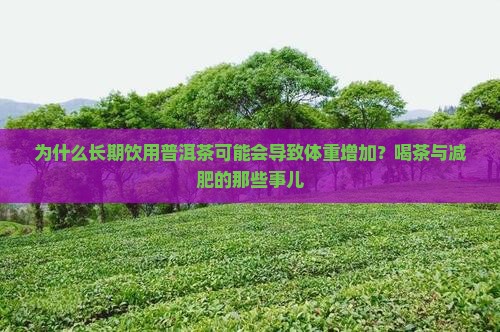 普洱茶喝了变胖