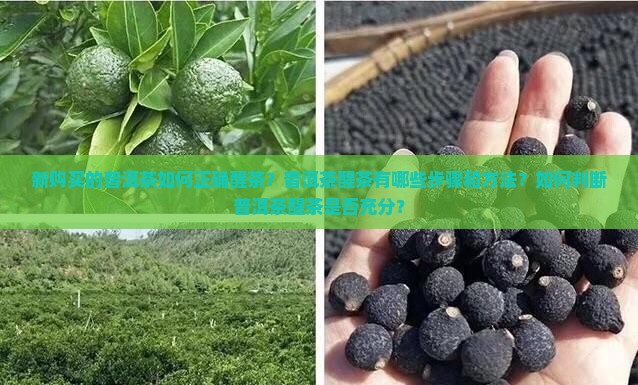 新买的普洱茶要怎么醒