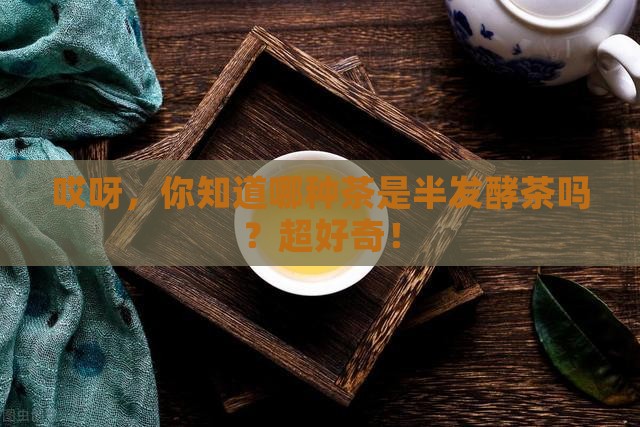 以下哪种茶是半发酵茶