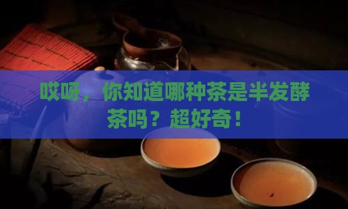 以下哪种茶是半发酵茶