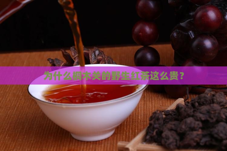 野生红茶桐木关为什么贵